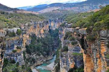 Ecotours