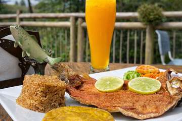 Food and drink