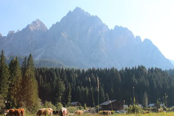 Mountain view