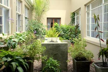 Photo 35
