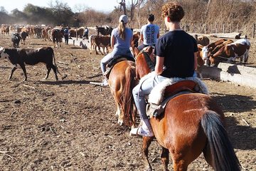 Horseback riding