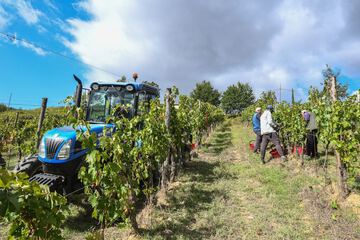 Winery