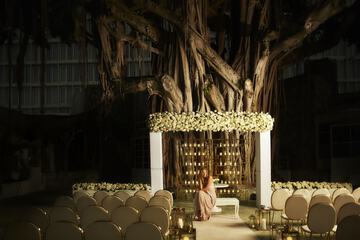 Outdoor wedding area