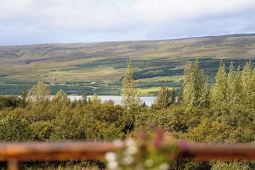 Land view from property