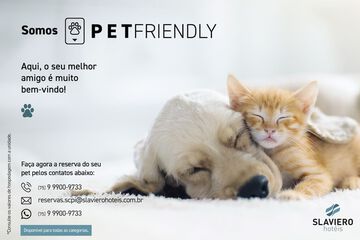 Pet-friendly