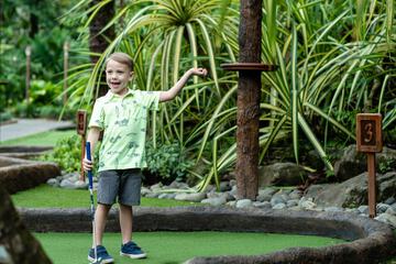 Mini-golf