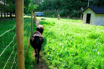 Photo 40