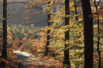 Ecotours