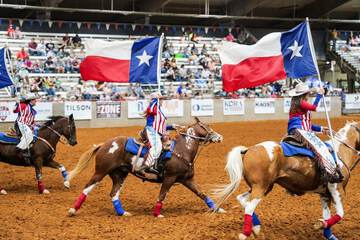 Children's activities