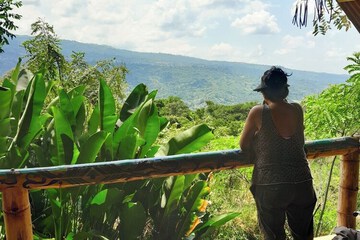 Mountain view