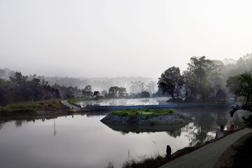 BBQ/picnic area
