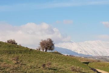 Photo 49