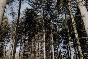 Hiking