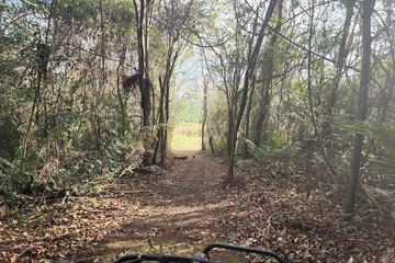 Hiking