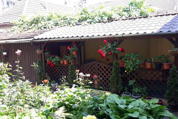 Photo 28