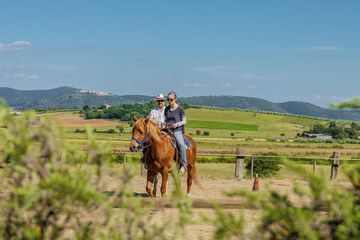 Horseback riding