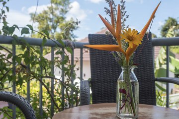 Balcony view