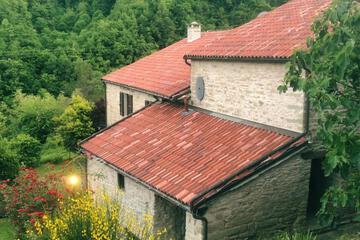 Photo 41