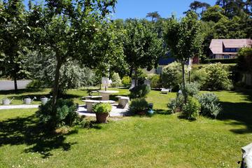 Photo 46