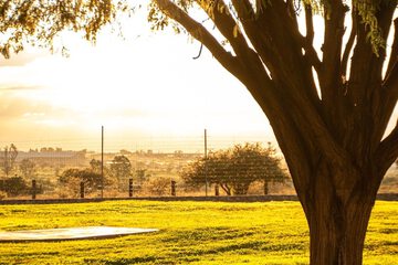 Land view from property