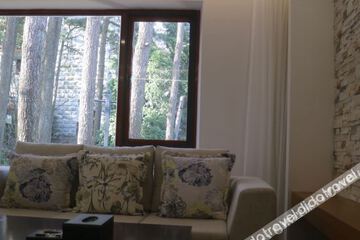 Hotel Interior or Public Areas