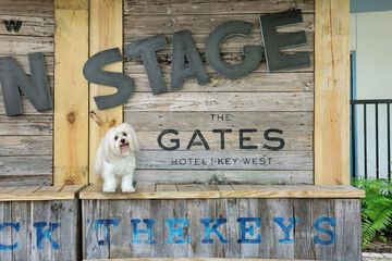 Pet-friendly