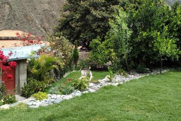Photo 26