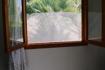 Photo 35