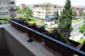 Photo 38