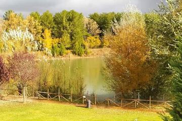 Lake view