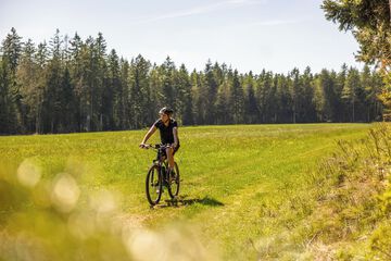 Bicycling