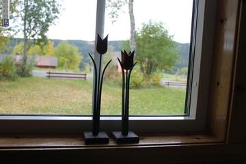 Photo 24