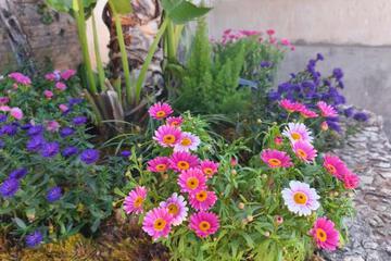 Photo 42