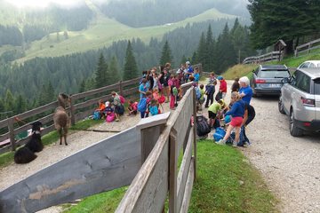 Children's activities