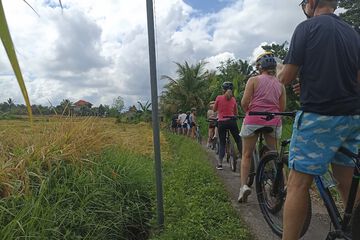 Bicycling
