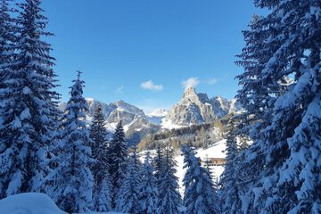 Snowshoeing