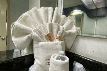 Bathroom amenities