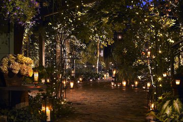 Terrace/Patio 48 of 52