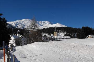 Photo 42