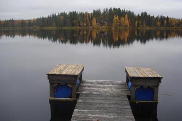 Photo 31