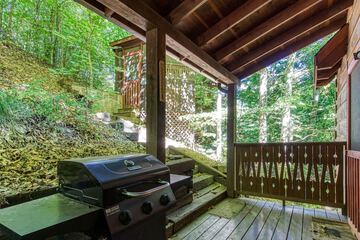 BBQ/picnic area