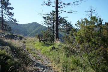 Hiking