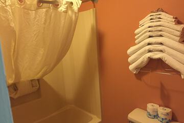 Bathroom shower