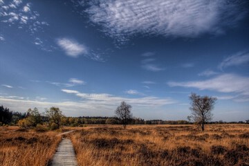Hiking