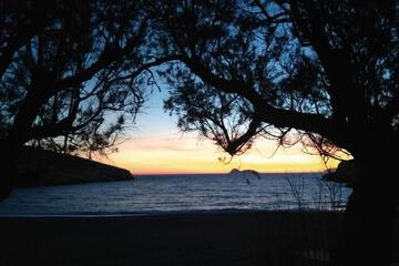 Photo 54