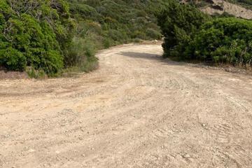 Photo 39