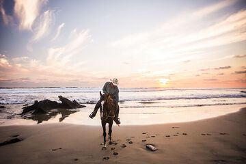 Horseback riding