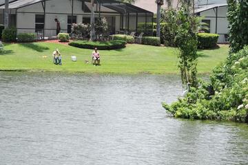 Lake view