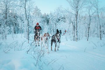 Sledding