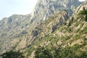 Photo 38